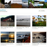 Etsy store of Kate Williams, Across the Street Photography