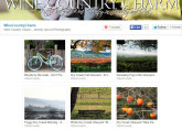 Etsy store Wine Country Charm